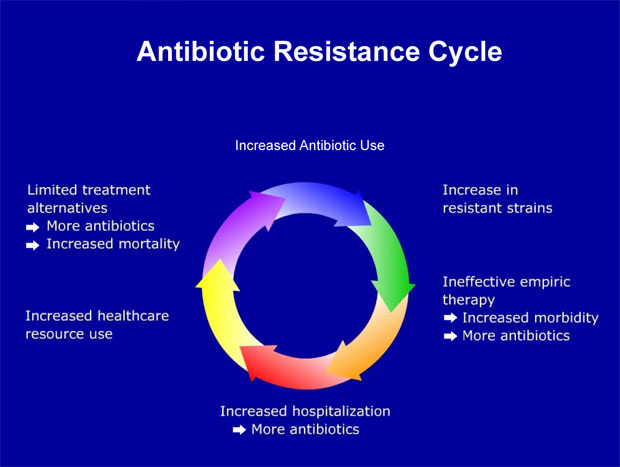 anibiotic-resistance-cycle