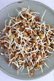 sprouted chickpea
