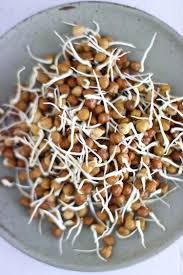 sprouted chickpea