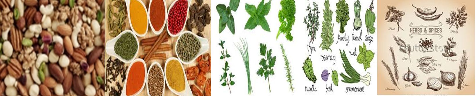 Culinary herbs