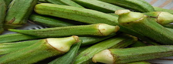 Lady finger (okra)