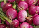 red-onion